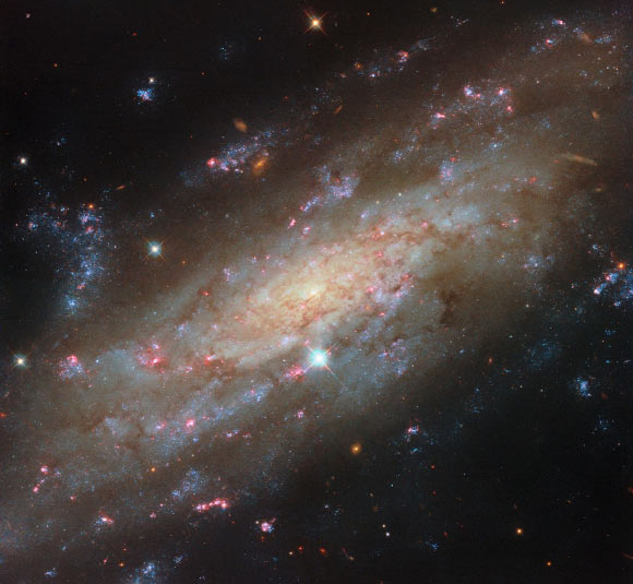 This Hubble image shows NGC 3137, a spiral galaxy some 53 million light-years away in the constellation of Antlia. Image credit: NASA / ESA / Hubble / D. Thilker / PHANGS-HST Team.