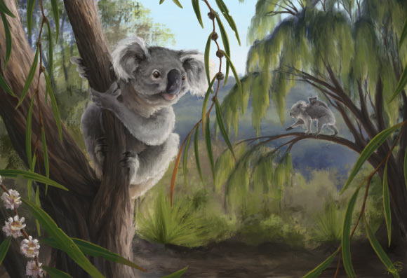 Reconstruction of Phascolarctos sulcomaxilliaris. Image credit: Nellie Pease.