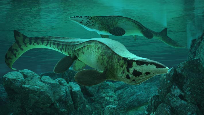 ‘T. rex’ Mosasaur Ruled the Seas 80 Million Years Ago