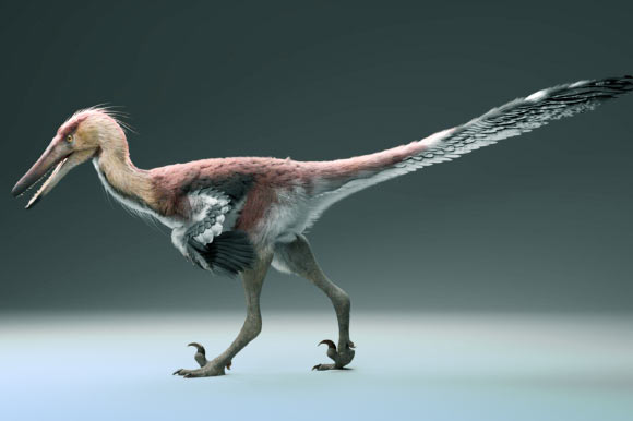 Life reconstruction of Kank australis. Image credit: Gabriel Díaz Yantén.