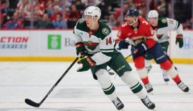 Wild, Nikishin, Hoglander – Pro Hockey Rumors