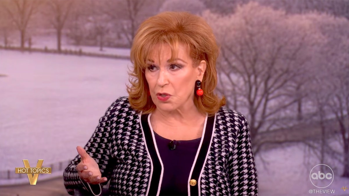 Joy Behar speaking on the set of The View.