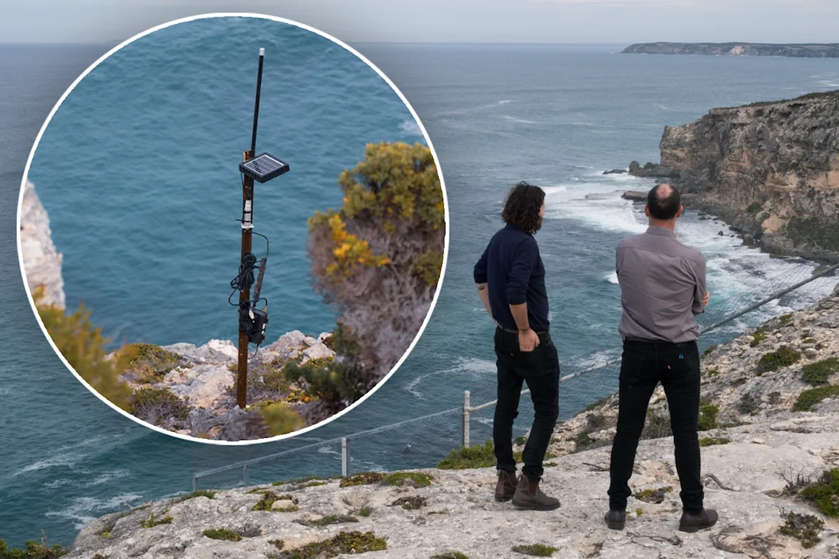Unprecedented 'blitz' hits Aussie tourist island as 800 devices deployed in 'world-first'