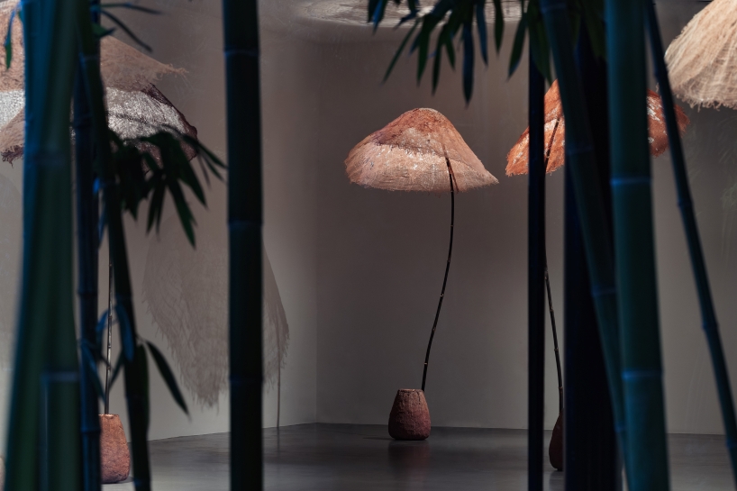 bamboo and linen shape luminous sculptures informed by forest and underwater light - 2