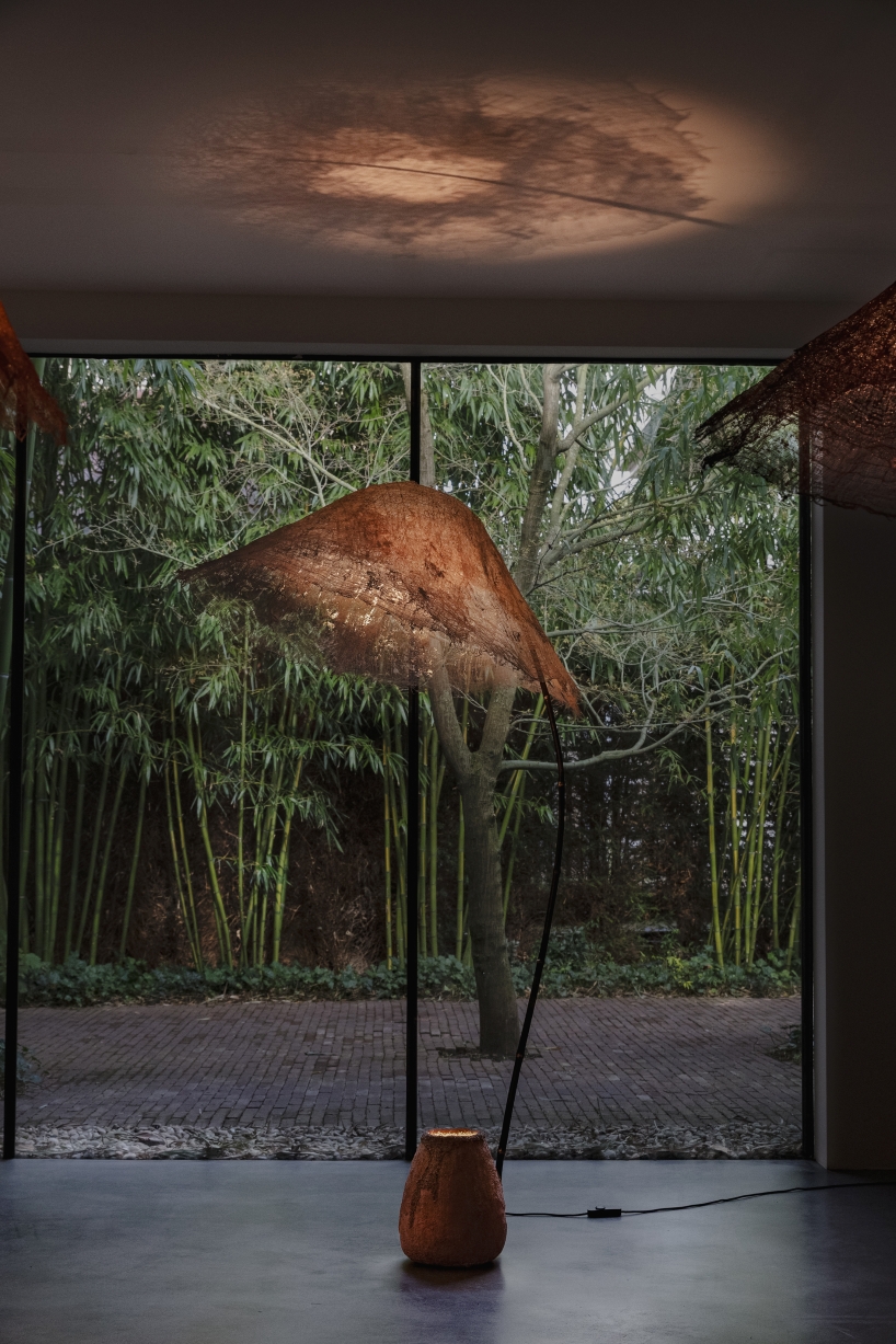 bamboo and linen shape luminous sculptures informed by forest and underwater light - 3