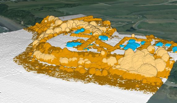 A false-colour depiction of trees on the coast at Oakura, made with data from the 3DCM project