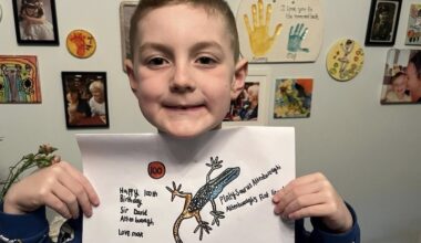 Max Evans-Browning, the 6-Year-Old superfan of David Attenborough, holding up his 100th animal drawing in celebration of Attenborough