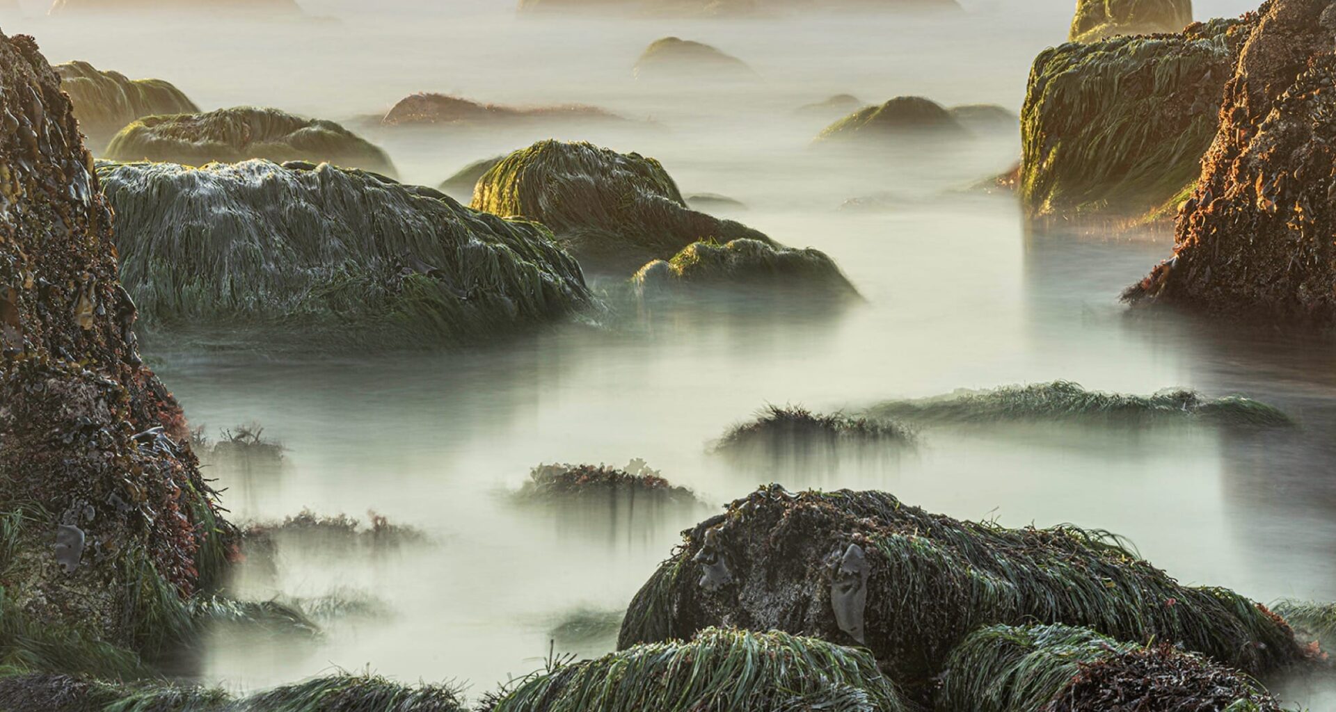 a photograph by Jon McCormack of a misty morning on a rocky shoreline at low tide