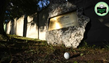 Can you take free relief from a man-made object in the rough?