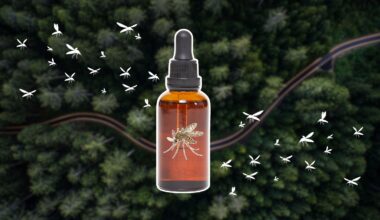 mosquitoes on a forest background with trees