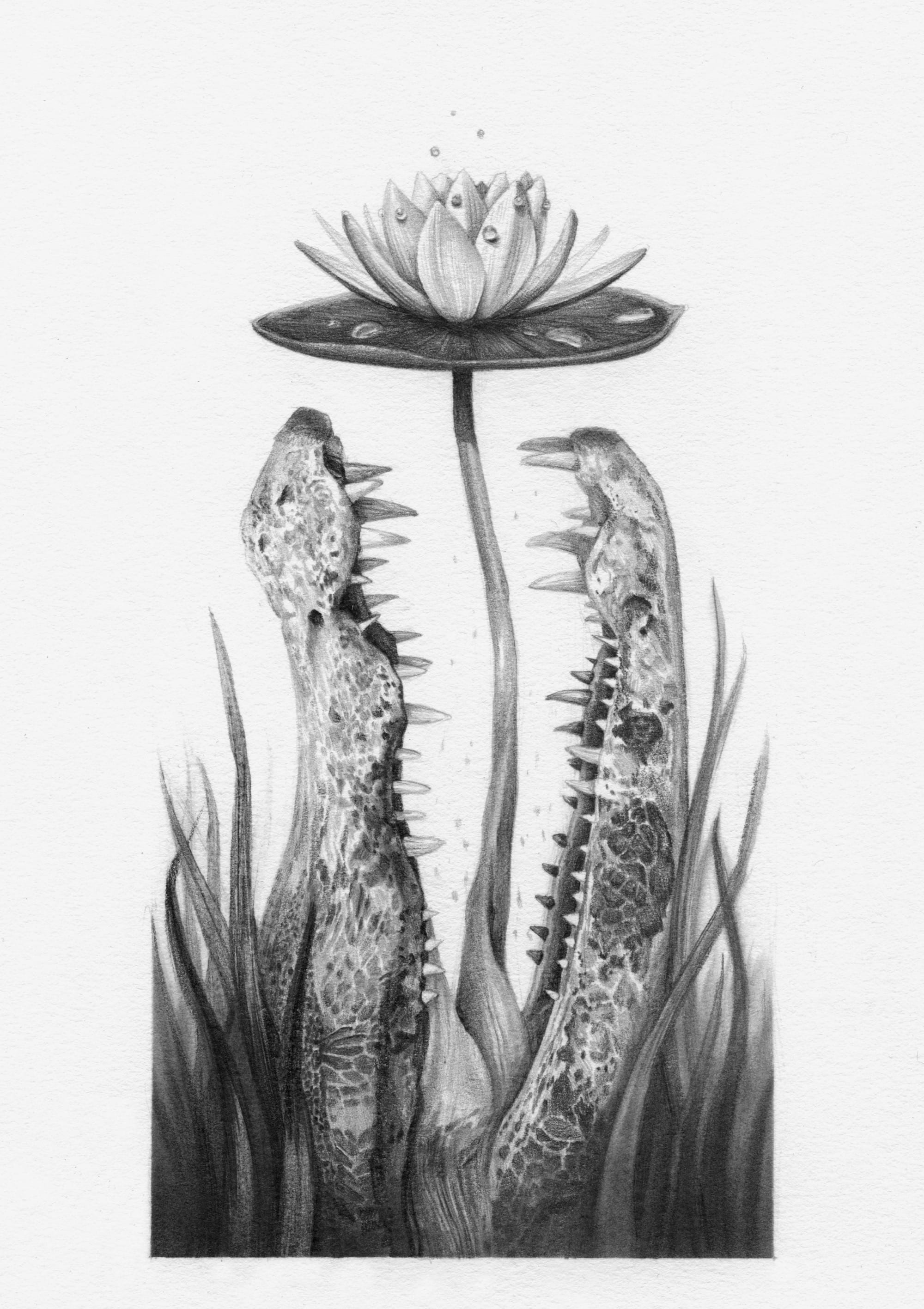 a drawing by Christina Mrozik of an alligator jaw opening around a plant