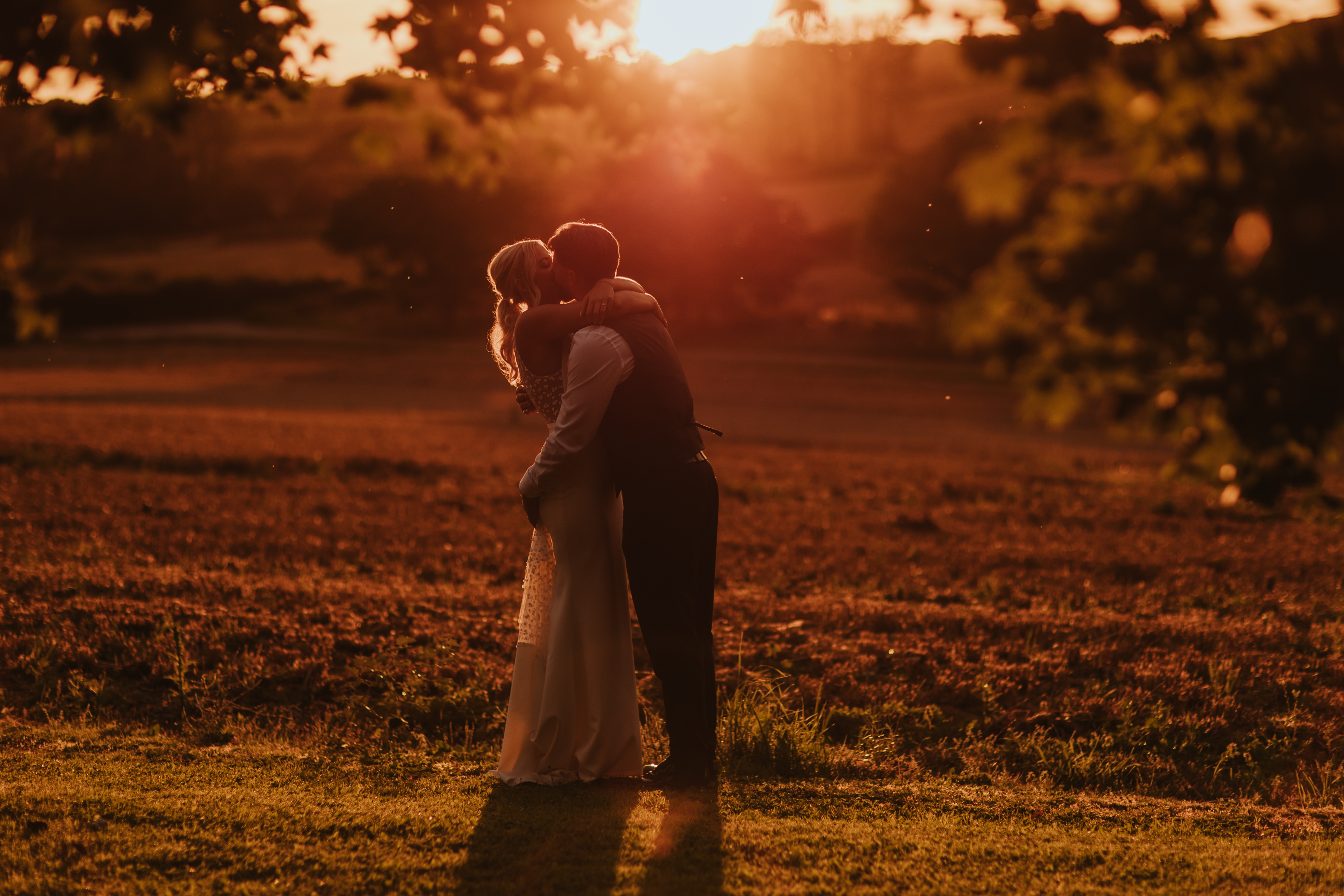 A wedding couple caress in a field with golden sunset light