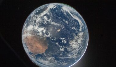 500‑million‑year‑old fossil helps fill a strange gap in our record of life on Earth