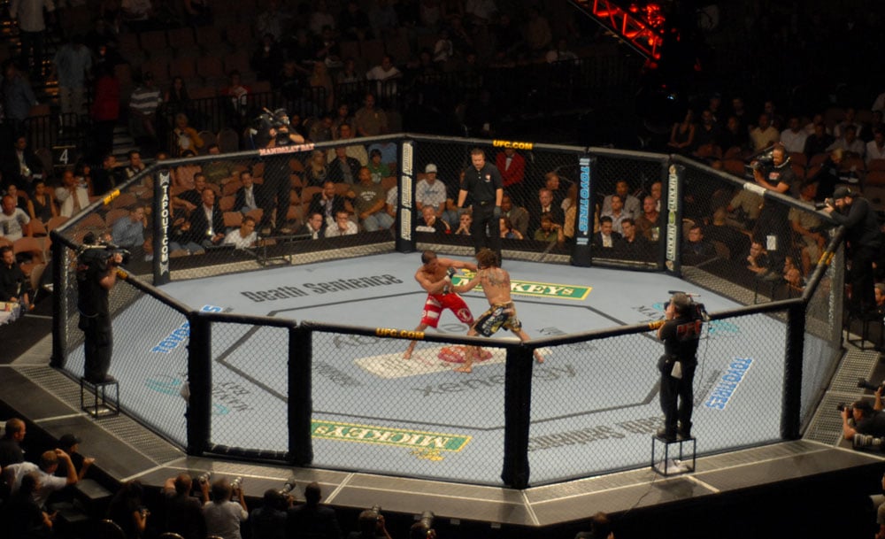 UFC MMA is the pickleball of pugilism