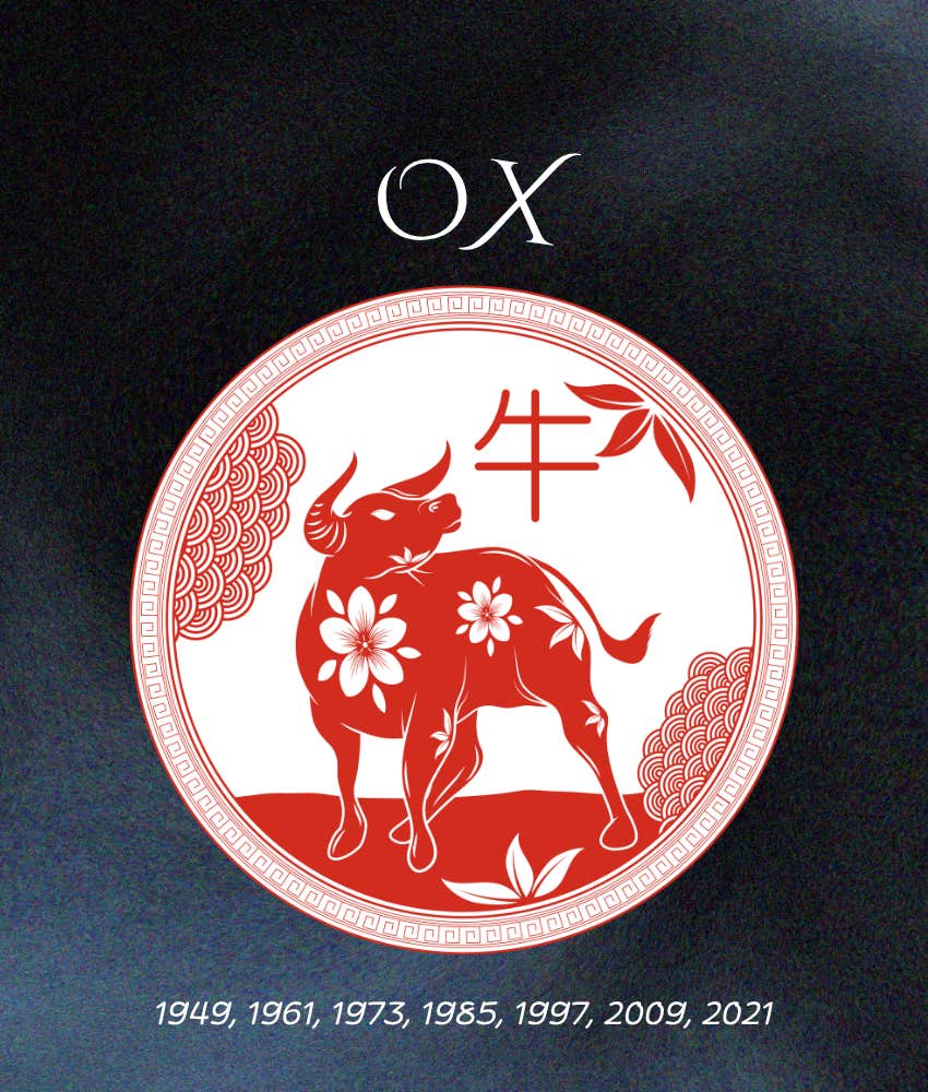 ox chinese zodiac signs hard times end may 11, 2026