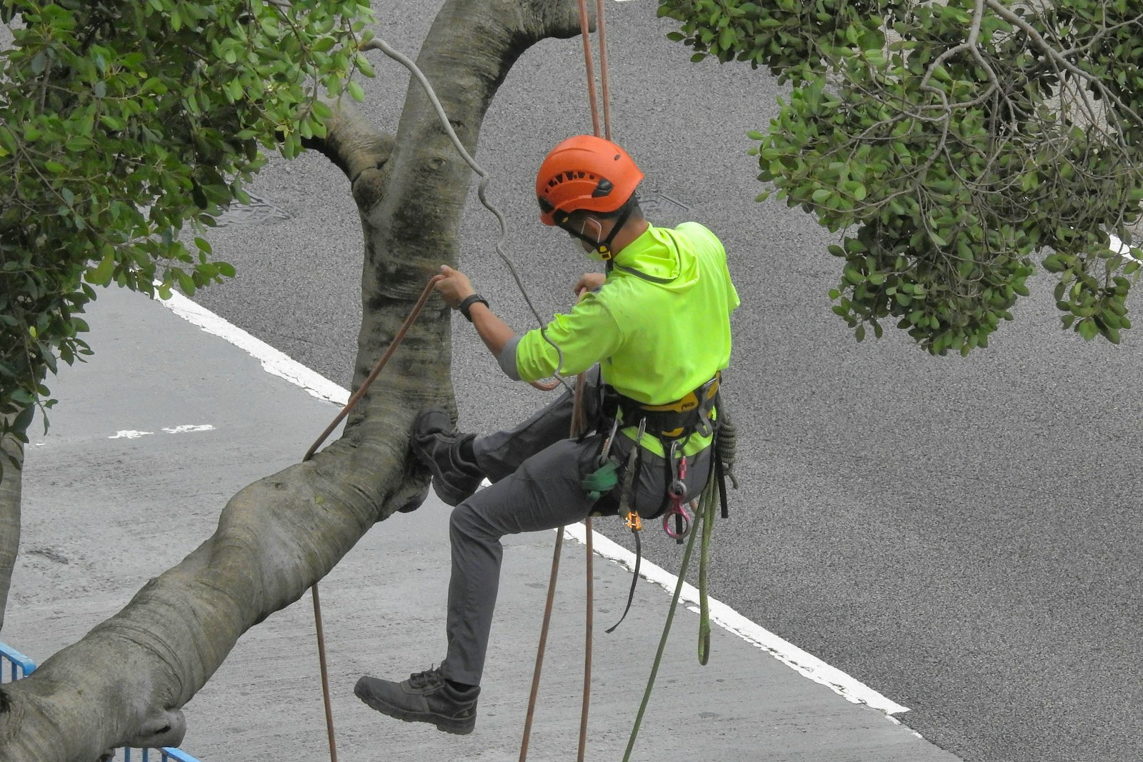 Maple Leafs trim the executive tree