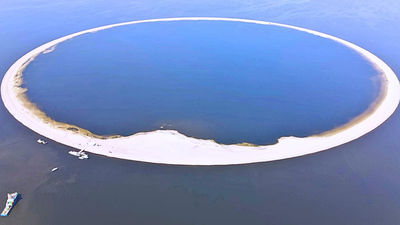Protecting Life: Poland spent millions on an artificial island to protect rare birds and conserve wildlife