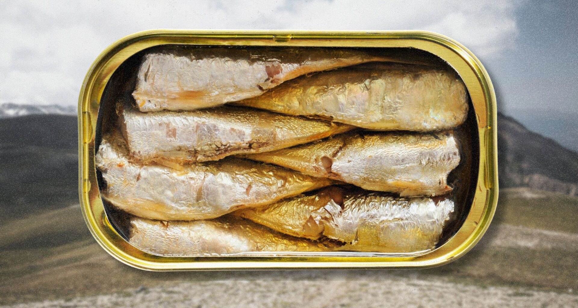 sardines in a gold tin can on an outdoor background