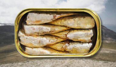sardines in a gold tin can on an outdoor background