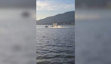 Video captures moment jet ski hits grey whale off Stanley Park - BC