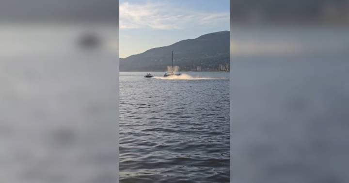 Video captures moment jet ski hits grey whale off Stanley Park - BC
