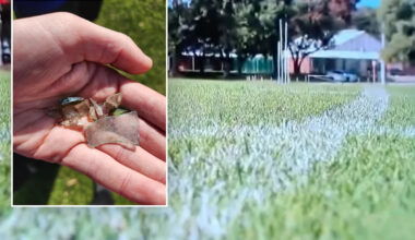 Aussie council's recycling fail as dangerous discovery on football oval leaves players bloodied