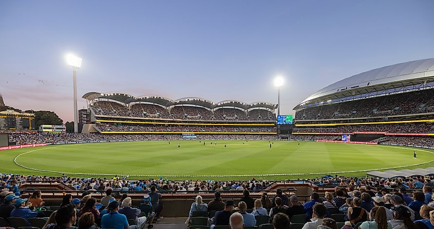 A crowd enjoys a Men's Big Bash League match between Adelaide Strikers and Melbourne Stars at the Adelaide Oval. Image Credit Hyserb via Shutterstock.