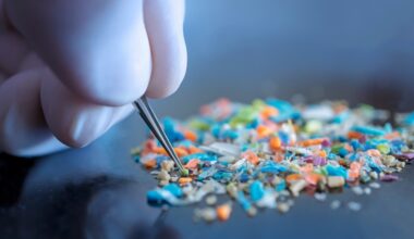 Scientists race to understand the health risks of microplastics