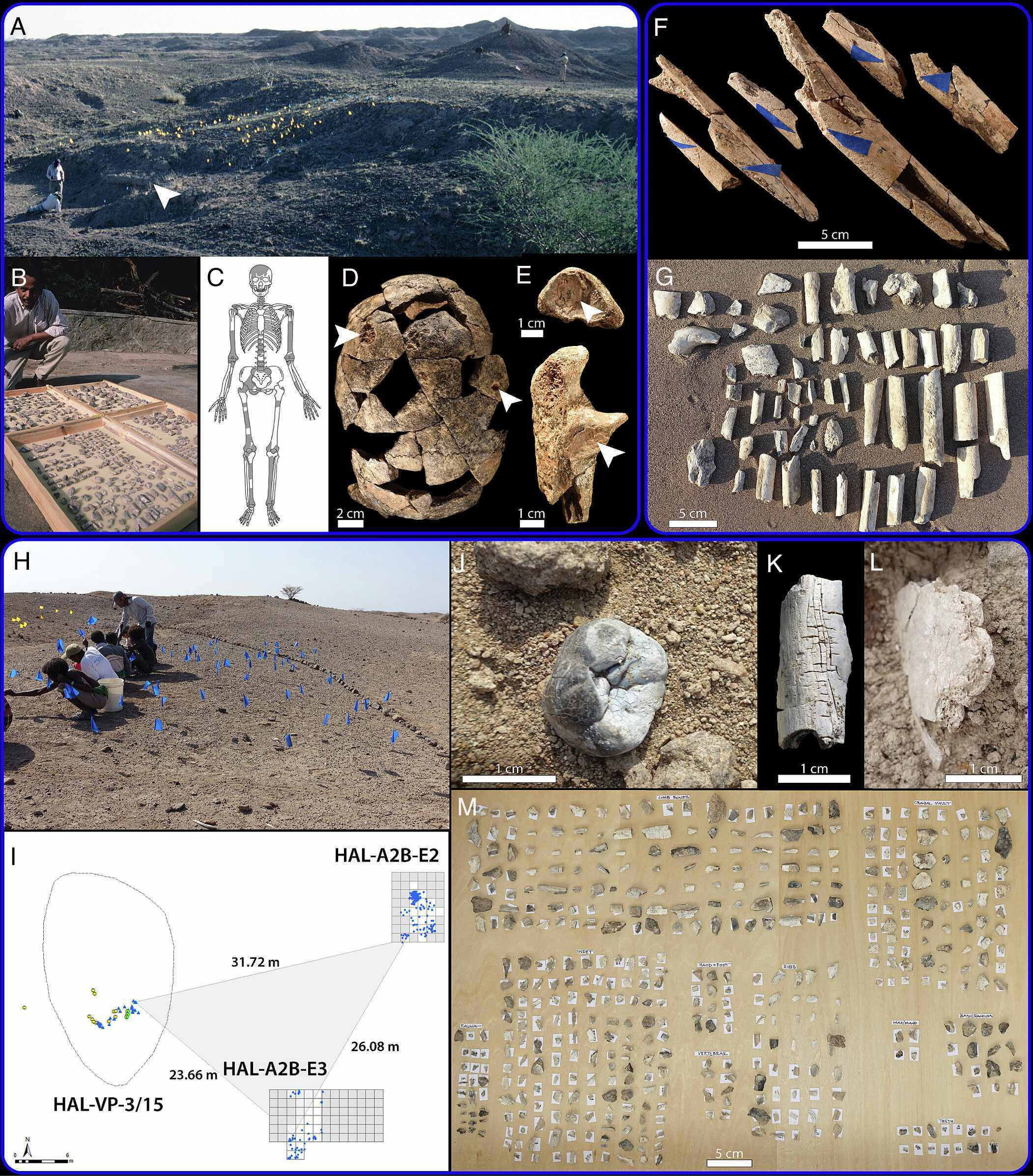 Taphonomy of human fossils from the Faro Daba beds