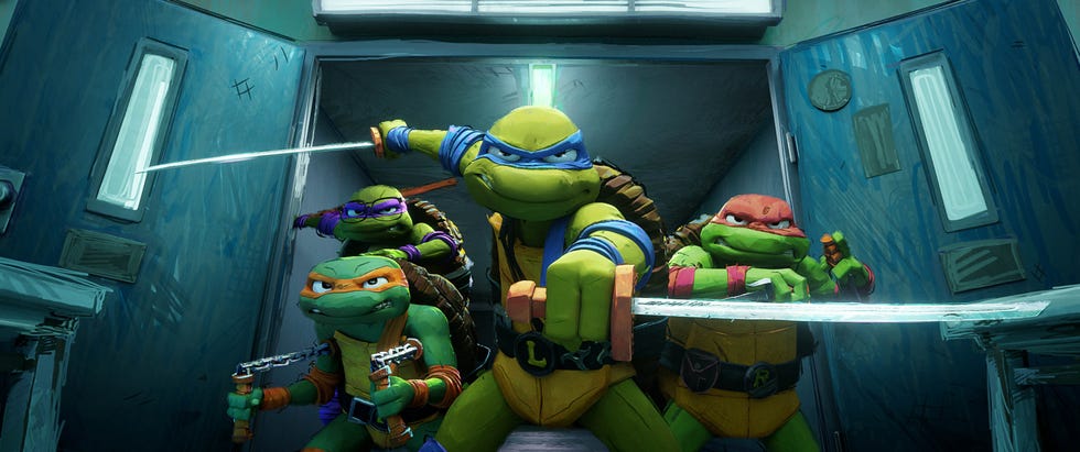 Teenage Mutant Ninja Turtles teenage mutant ninja turtles