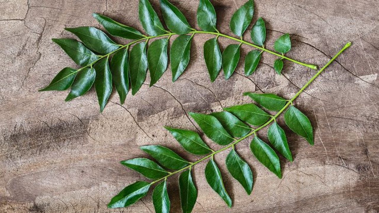 (Image Credits: Pinterest) The Benefits Of Sleeping With Curry Leaves