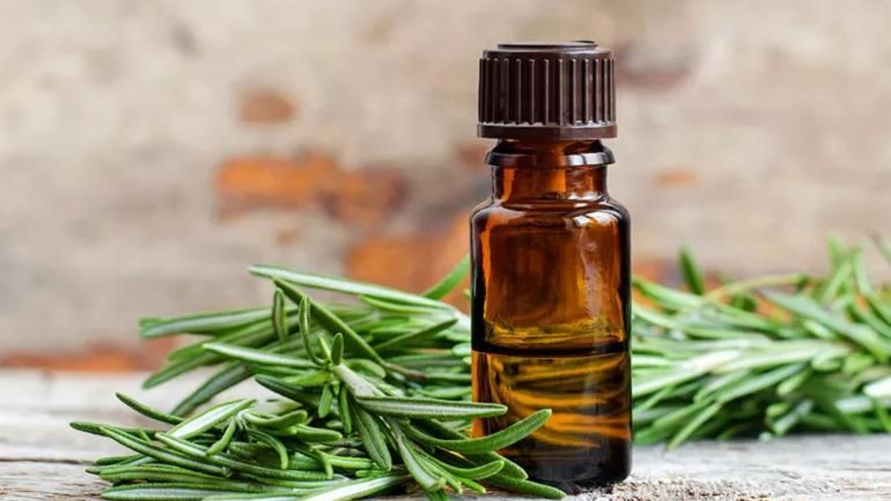 (Image Credits: Pinterest) The Benefits Of Sleeping With Rosemary Oil