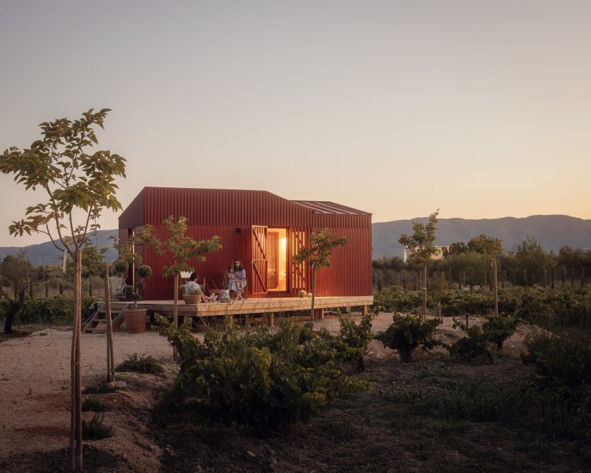 The Root by Kasawoo