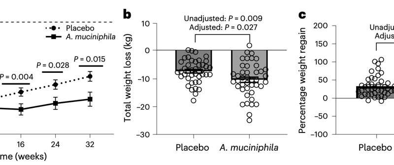 Tiny bacterial helpers: Gut bacteria supplement can help maintain the weight loss after dieting