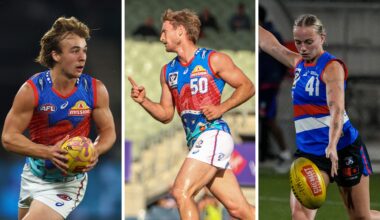 Dogs-Dees triple-header set for Sunday