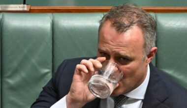 Tim Wilson will 'never, ever, ever' be treasurer