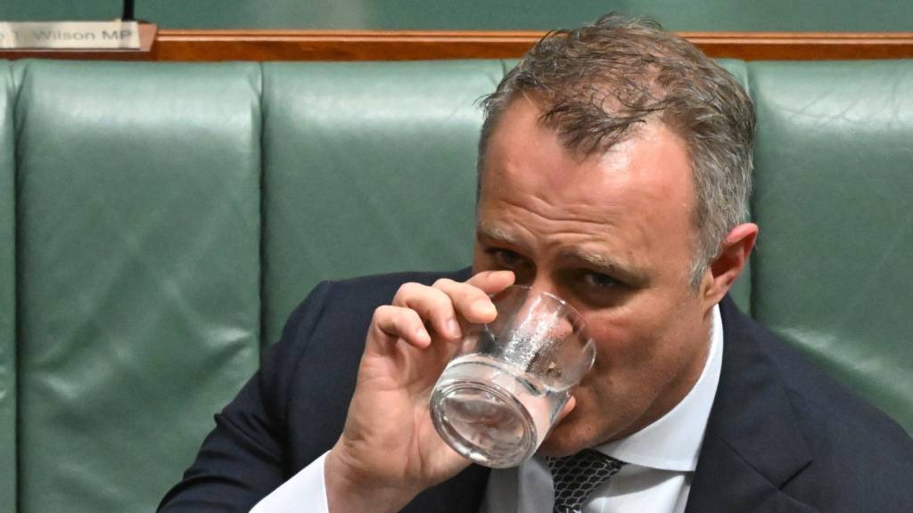 Tim Wilson will 'never, ever, ever' be treasurer