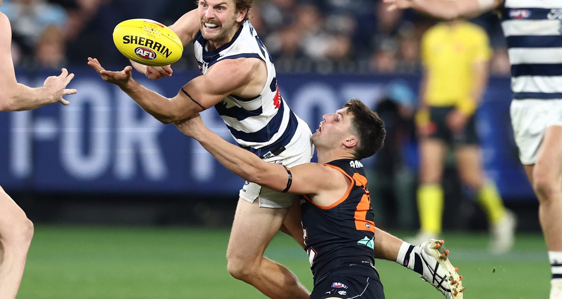 AFL Match Report | Cats Fall in Friday Night Thriller