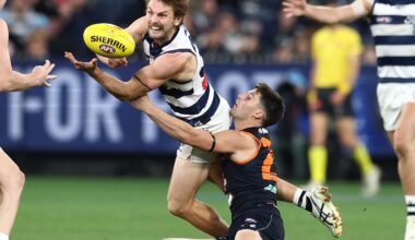 AFL Match Report | Cats Fall in Friday Night Thriller