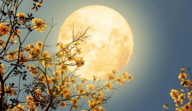 May's Full Flower Moon Rises In Australia Tonight: How To See It