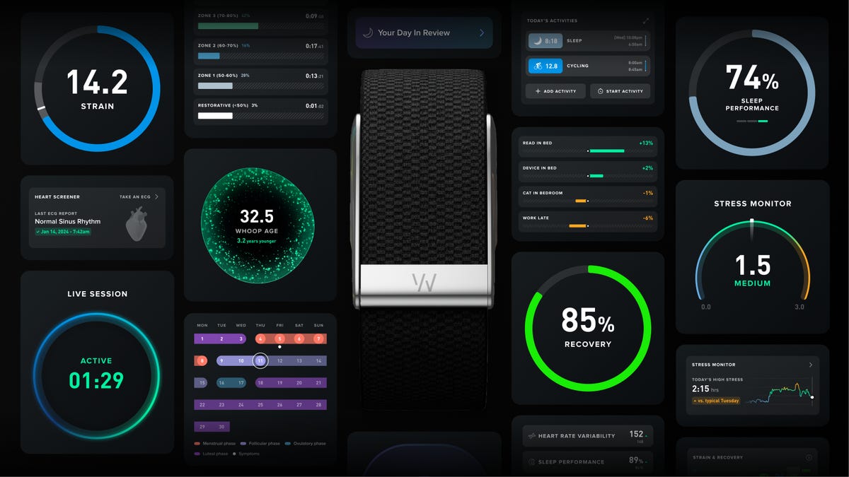 The Health-Tracking Whoop App Will Now Connect You to On-Demand Doctors. Plus, New AI Features
