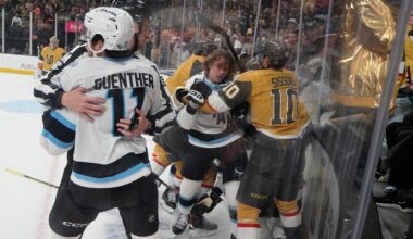 Does the NHL need more replay reviews for penalties and scrums or would they slow the game?