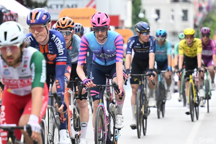 wout-poels