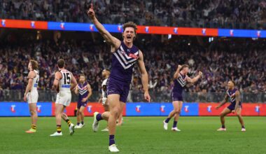 Brilliant Dockers surge past Hawks to win eighth straight