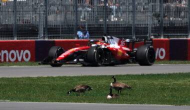 Leclerc in Canada, with Geese