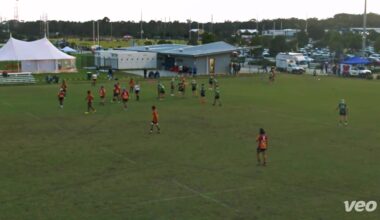 Avoca Beach Sharks on right track in rugby union season – NBN News