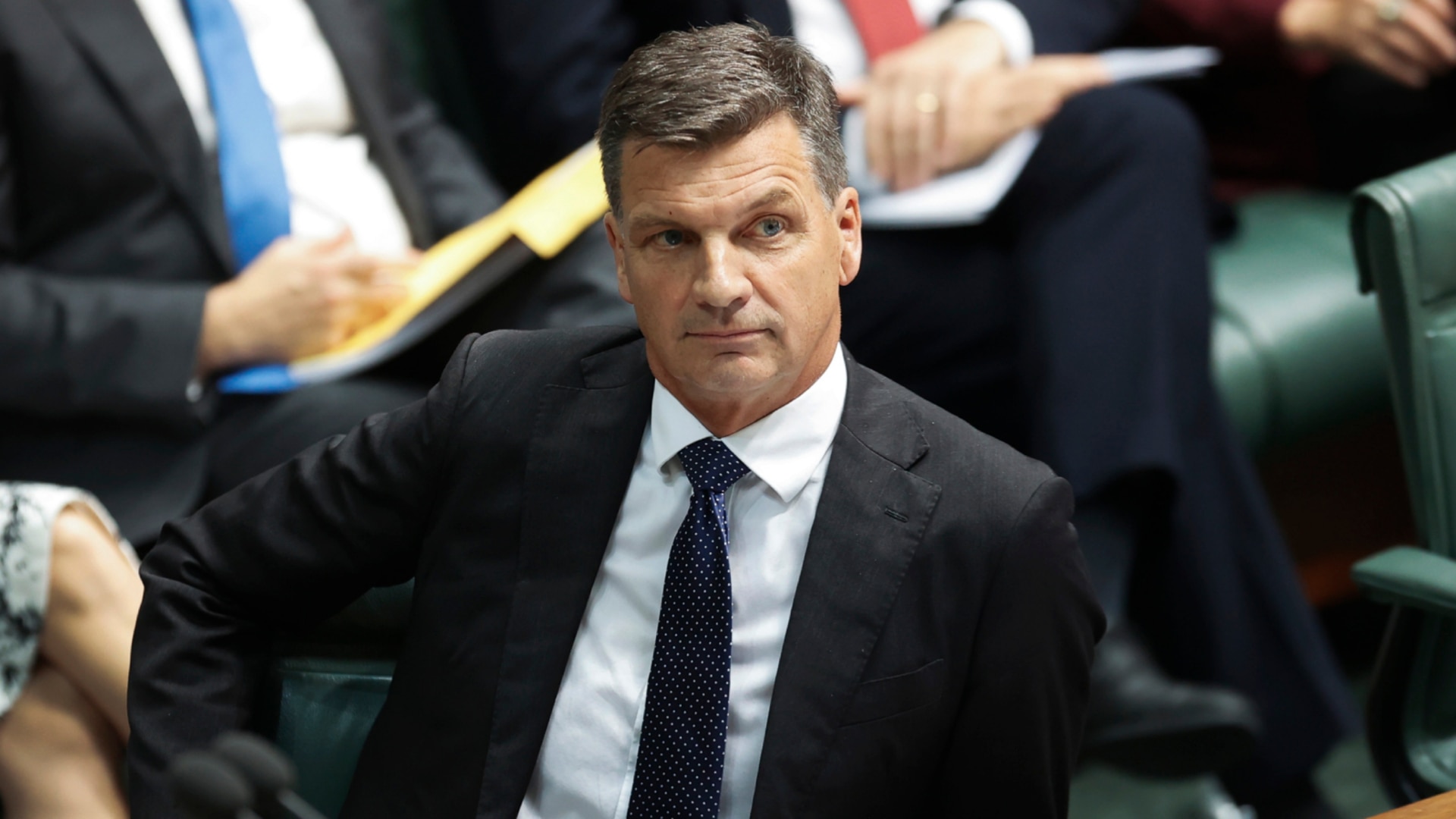 ‘Migration floodgates’: Angus Taylor takes aim at Labor for housing nightmare