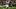 Southern Illinois quarterback DJ Williams Southern Illinois quarterback DJ Williams