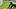colorado buffaloes deion sanders coach prime cu buffs football quency wiggins keaten wade defensive line position battle cfb colorado buffaloes deion sanders coach prime cu buffs football quency wiggins keaten wade defensive line position battle cfb