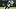 Dallas Cowboys cornerback DaRon Bland (26) tackles Las Vegas Raiders tight end Brock Bowers Dallas Cowboys cornerback DaRon Bland (26) tackles Las Vegas Raiders tight end Brock Bowers